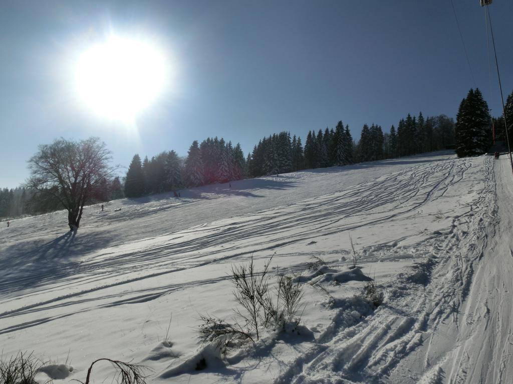 Ferienwohnung "Kleines Glueck" In Winterberg-Niedersfeld Extérieur photo